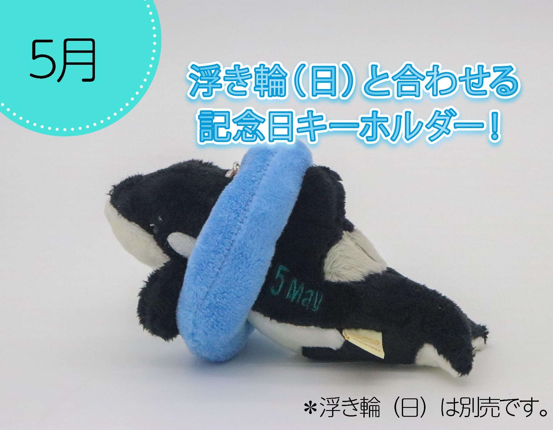 Amazon.co.jp: テイクオフ ぬいぐるみ シャチ365 5月 : おもちゃ